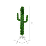 Vickerman - A185575 - BulbAmerica
