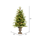 Vickerman 4ft. x 26in. Potted Kenly Pine Artificial Christmas Tree in LED Lights_1