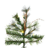 Vickerman - A801666LED - BulbAmerica