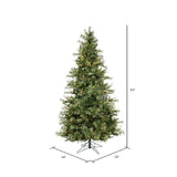 Vickerman 6.5ft. Mixed Country Pine Artificial Christmas Tree in LED Lights_1