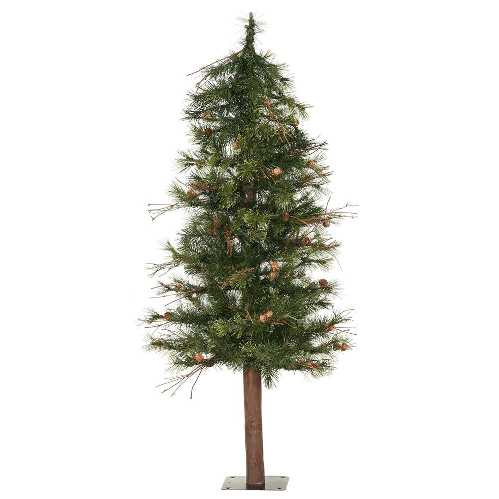 3' x 24" Mixed Country Alpine Tree 145T