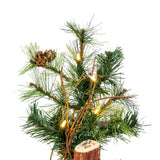 Vickerman - A801961 - BulbAmerica