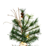 Vickerman - A801971LED - BulbAmerica
