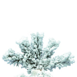 Vickerman - A806260 - BulbAmerica