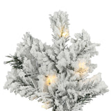 Vickerman - A806356LED - BulbAmerica