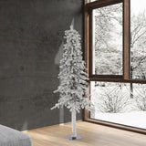 Vickerman - A807460 - BulbAmerica