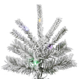 Vickerman - A861882LED - BulbAmerica