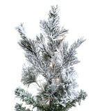 Vickerman - A861886LED - BulbAmerica