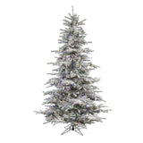 Vickerman 12ft. Sierra Fir Artificial Christmas Tree Multi-Colored LED lights