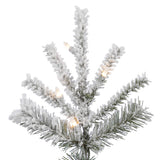 Vickerman - A862066LED - BulbAmerica