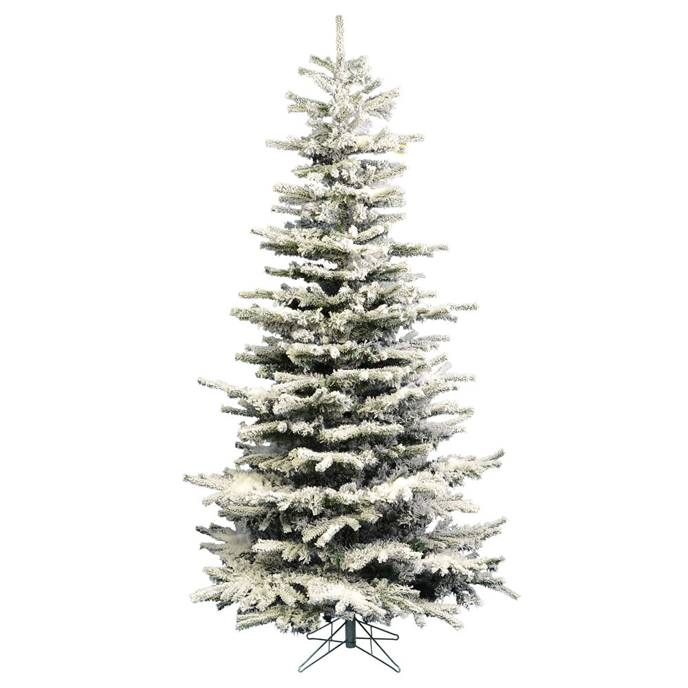 Vickerman 7.5ft. Flocked Sierra Fir Slim Artificial Christmas Tree Unlit