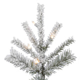 Vickerman - A862076LED - BulbAmerica