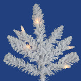Vickerman - A893666LED - BulbAmerica