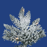 Vickerman - A895085 - BulbAmerica