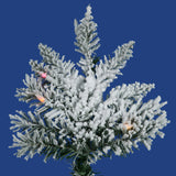 Vickerman - A895077LED - BulbAmerica