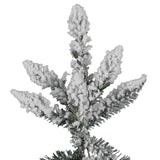 Vickerman - A895180 - BulbAmerica