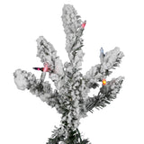 Vickerman - A895187LED - BulbAmerica