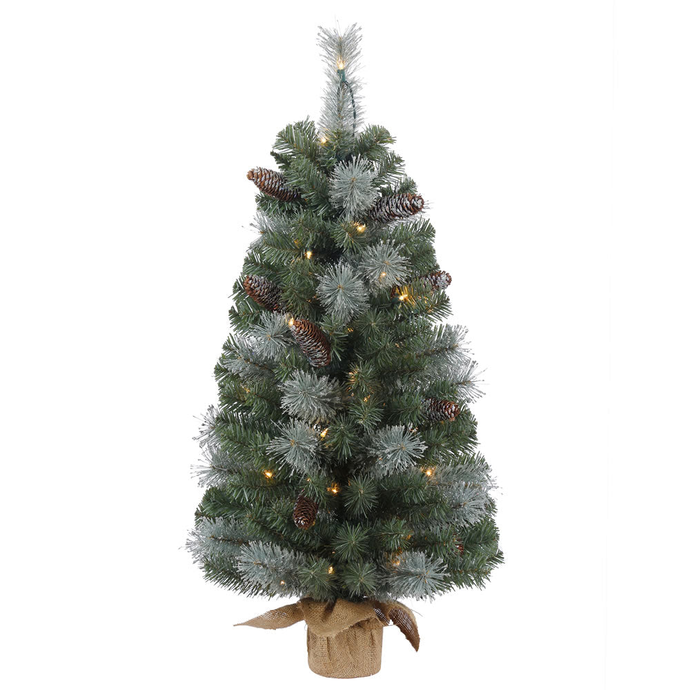 36in. x 19in. Shasta Blue Mix Pine Tree Burlap Base 50 Clear Lights 140Tips
