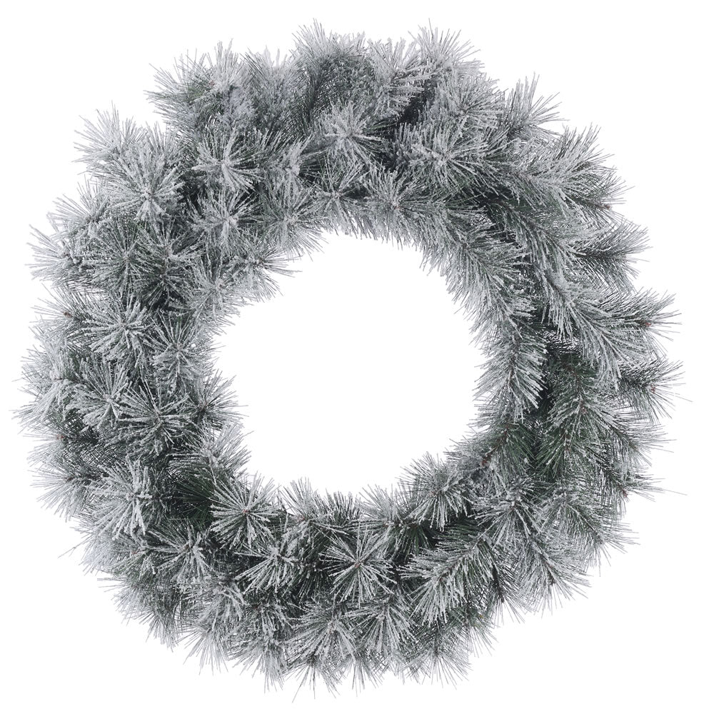 24in. Frosted Brewer Pine Wreath 70Tips
