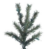 Vickerman - B907341LED - BulbAmerica