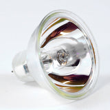 Platinum EFR 150w light bulb