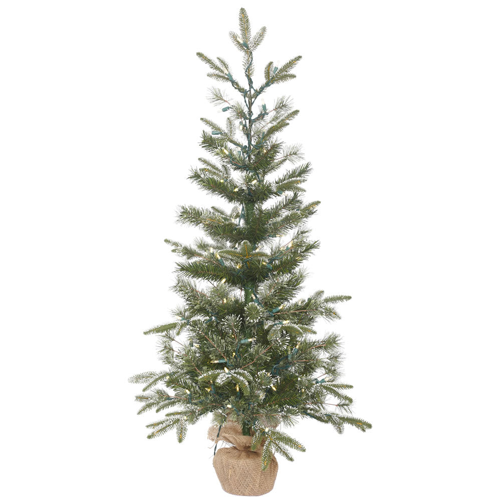 4Ft. Frosted Pasco Mixed Pine Medium White/Green Table Tree 100 Warm White LED