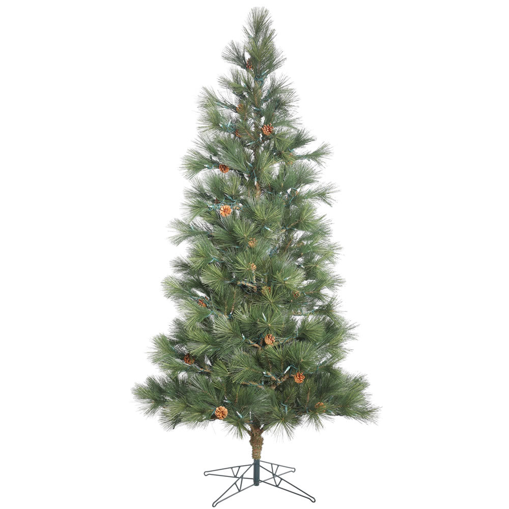 75Ft.  Redmond Spruce Full Green Christmas Tree 377 Hardneedle Tips Pinecones