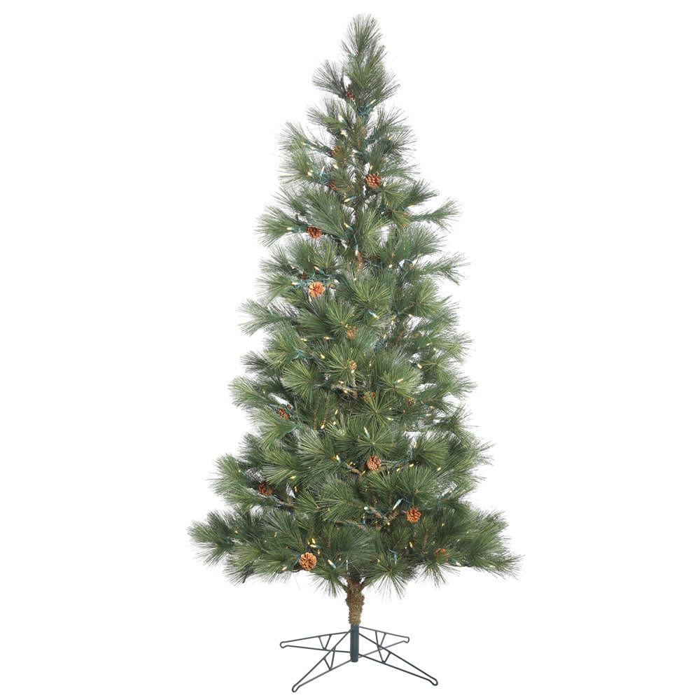 12Ft. Redmond Spruce Full Green Christmas Tree 1450 Warm White Led Lights