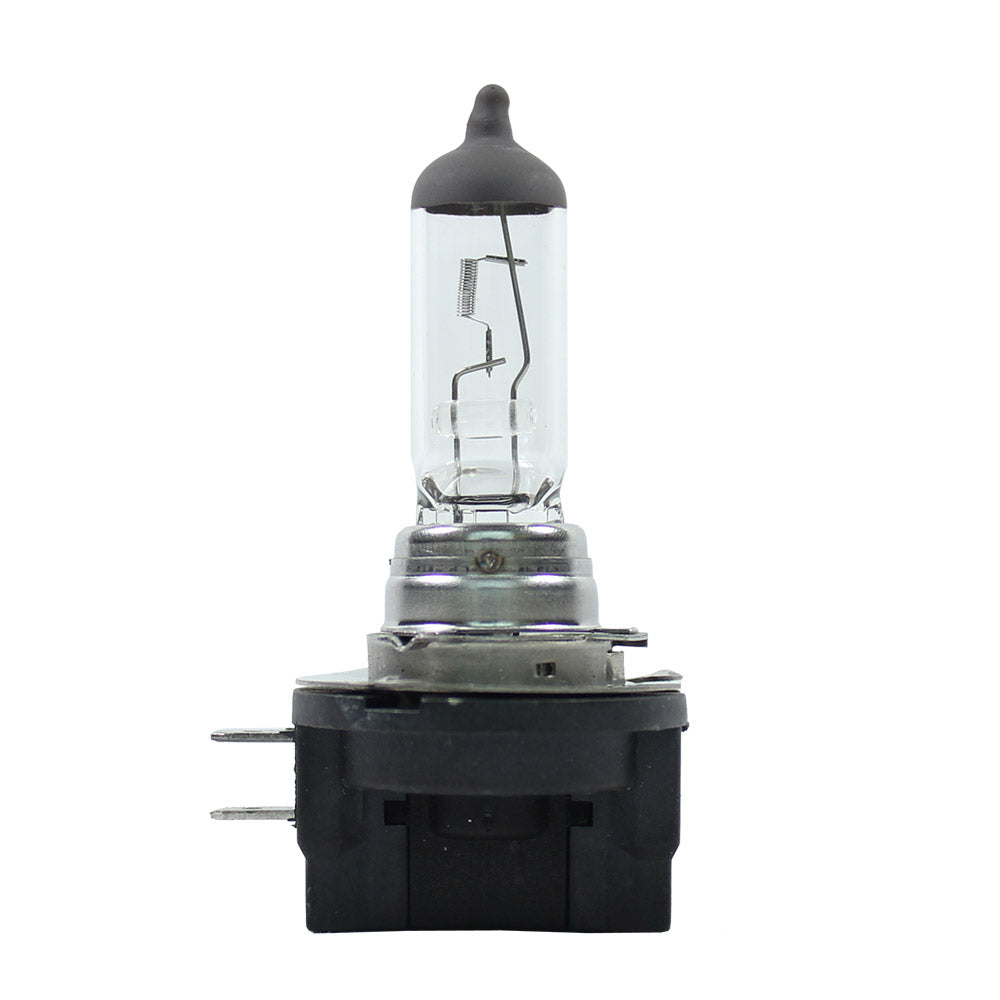 BulbAmerica H11B - 12V 55W Halogen Xenon Clear Automotive Bulb