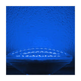 BulbAmerica - LED-PAR36-BLUE - BulbAmerica