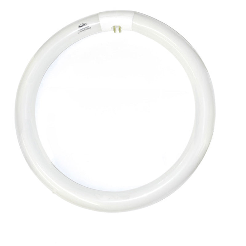 Luxrite 32w FC12T9 Daylight 4-Pin Circline Fluorescent Light Bulb
