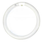 Luxrite 32w FC12T9 Daylight 4-Pin Circline Fluorescent Light Bulb