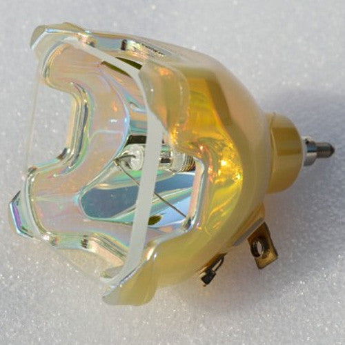 Apollo PB2025 Projector Housing with Genuine Original OEM Bulb