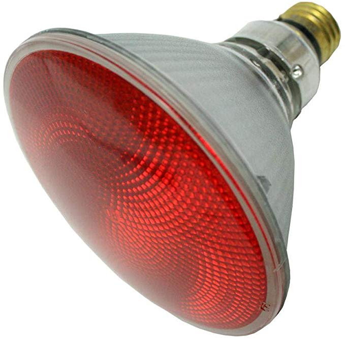 SYLVANIA 16661 Red 90W PAR38 120V Halogen Light Bulb