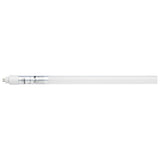 Satco - S11656*25 - BulbAmerica
