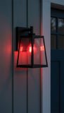 Satco 8w LED A19 Straight Filament Red Light Glass 120v Bulb_3