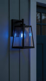 Satco 8w LED A19 Straight Filament Blue Light Glass 120v Bulb_3