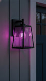 Satco 8w LED A19 Straight Filament Purple Light Glass 120v Bulb_3