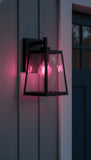 Satco 8w LED A19 Straight Filament Pink Light Glass 120v Bulb_3