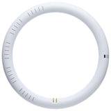 Satco 16w T9 CCT Selectable G10q Base 120-277v Frosted LED Circline Bulb - BulbAmerica