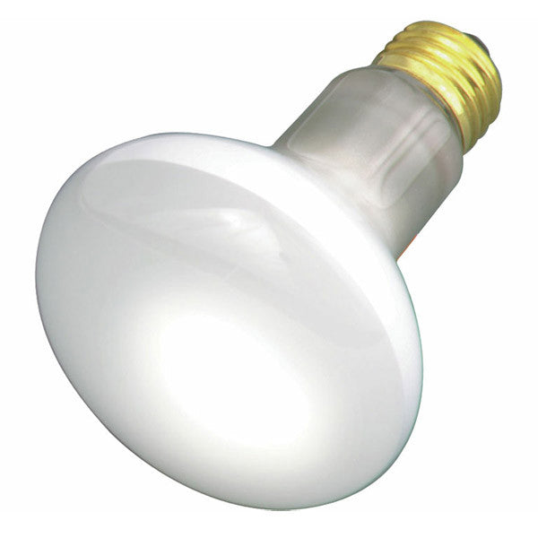 Satco S3229 45W 120V R20 Frosted E26 Medium Base Incandescent light bulb