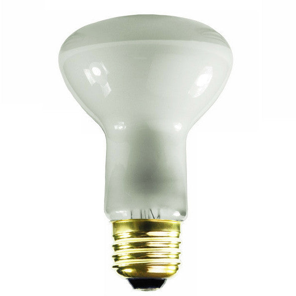 Satco S3849 45W 130V R20 Frosted E26 Medium Base Incandescent light bulb