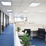 Satco 8w 2-ft. T8 LED Tube 5000K 1250LM G13 120-270V Ballast Dependent - BulbAmerica