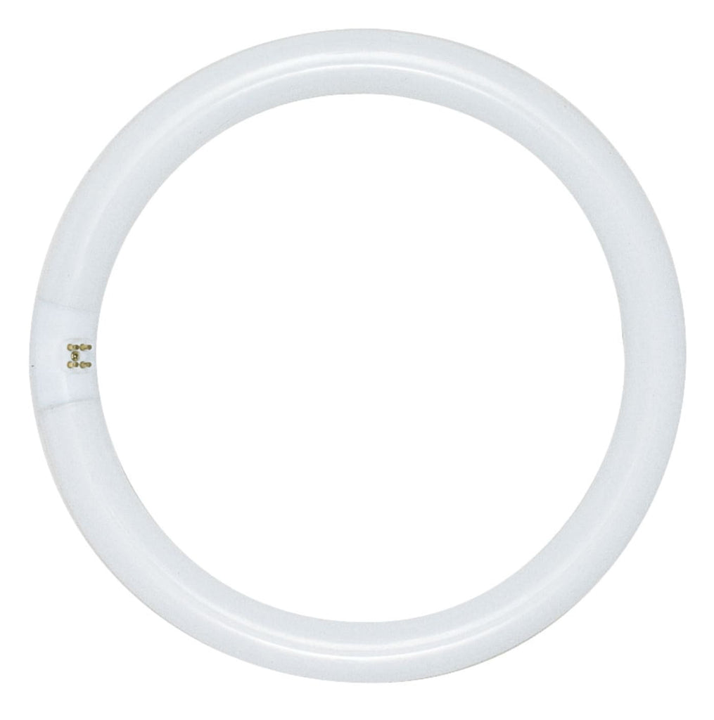 Satco 40w T9 Circline Fluorescent 4100K Cool White 4-Pin base Tube