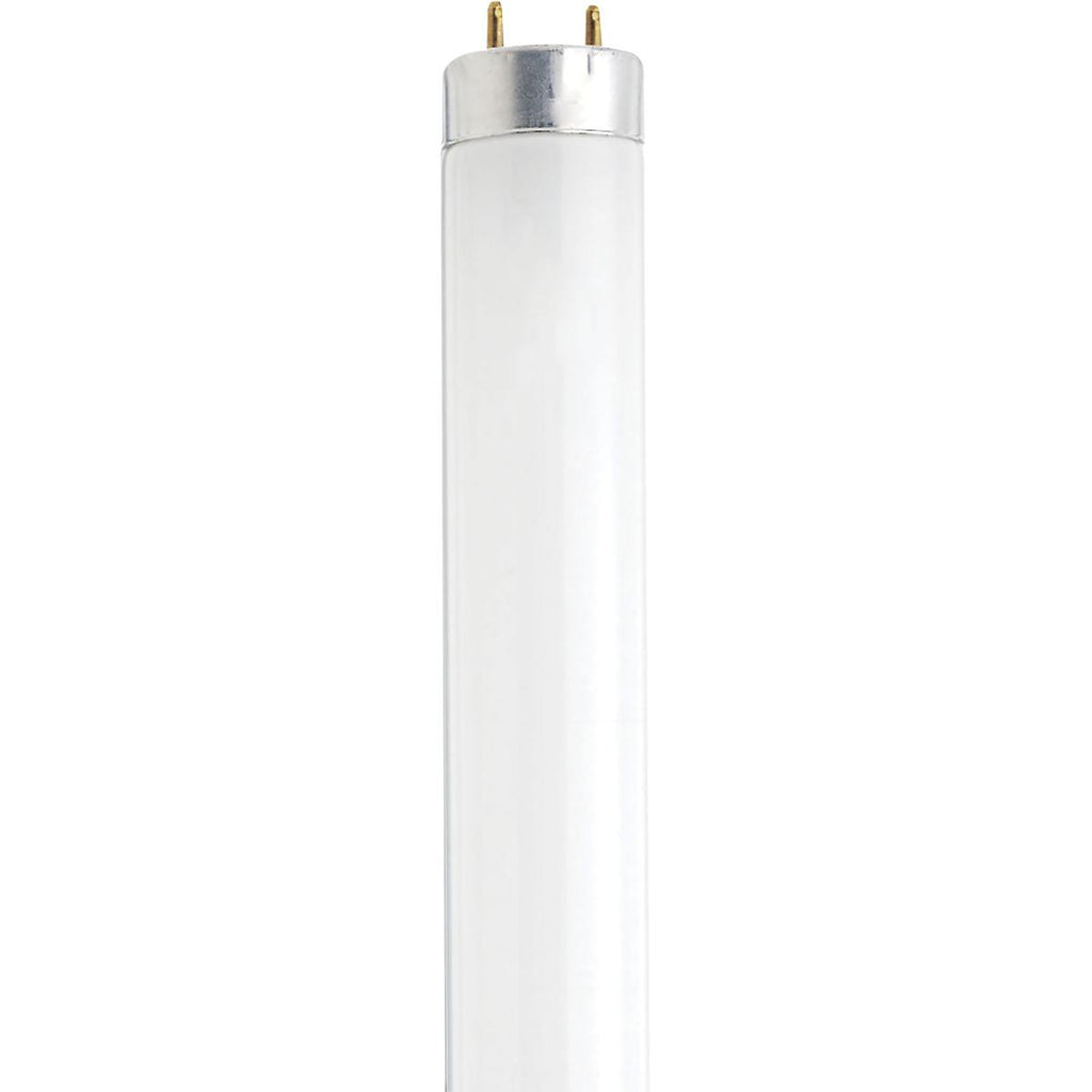 Satco 12-in 13w T8 Fluorescent 4100K 400Lm G13 Bi Pin base Linear Bulb