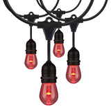 24-ft LED String Light 12-S14 lamps 120v RGBW with Infrared Remote - BulbAmerica