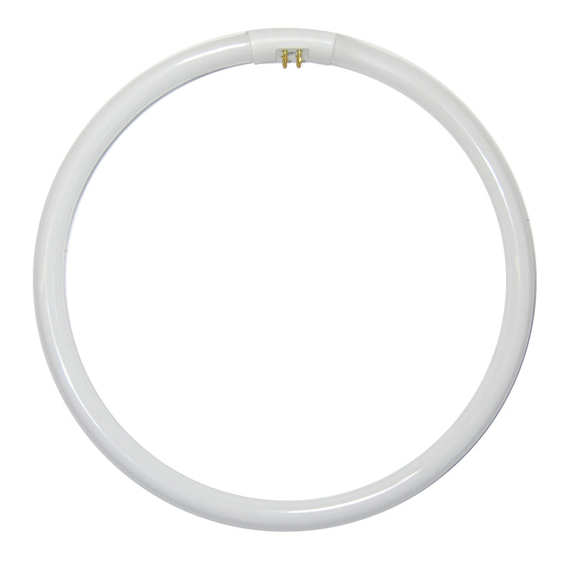 Satco 40w T5 Circular 4000k Cool White G10Q Fluorescent 11in Circline Bulb