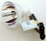Optoma TX650 Projector Bulb - Pheonix OEM Projection Bare Bulb
