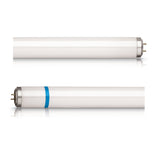 Philips Actinic BL TL-D 15W/10 Secura 18in. Blacklight Tube Insect Trap Lamp