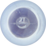 2Pk Sylvania 7506 25w 13.5v SilverStar Brighter & Whiter Automotive Light Bulb_1